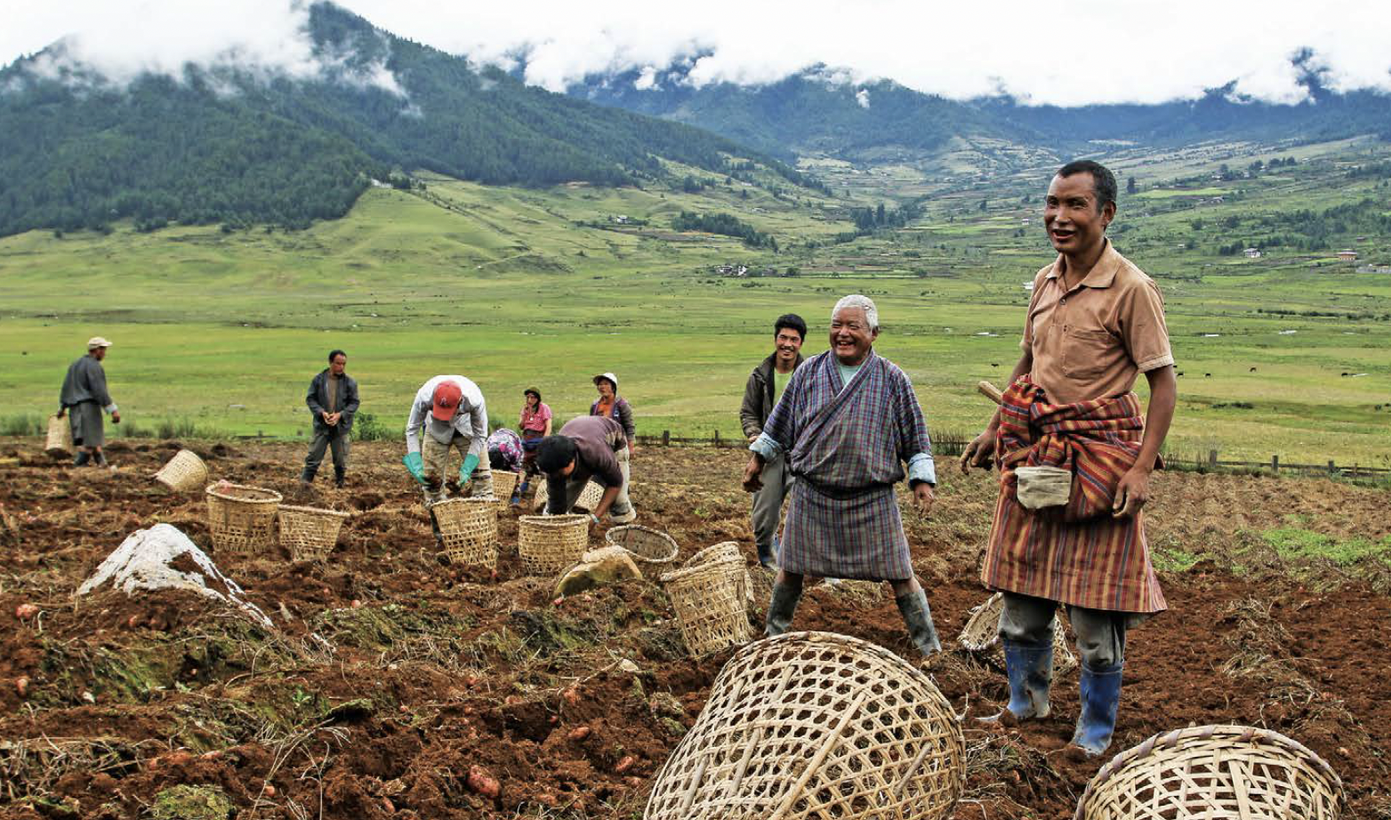 Labourforce