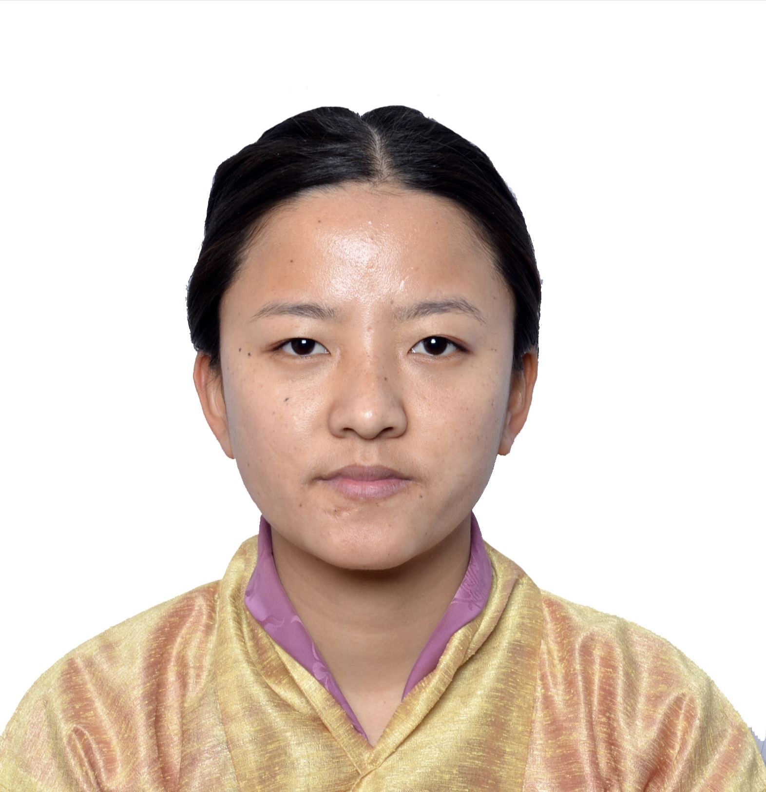 Pema Choden-Statistical Investigator
